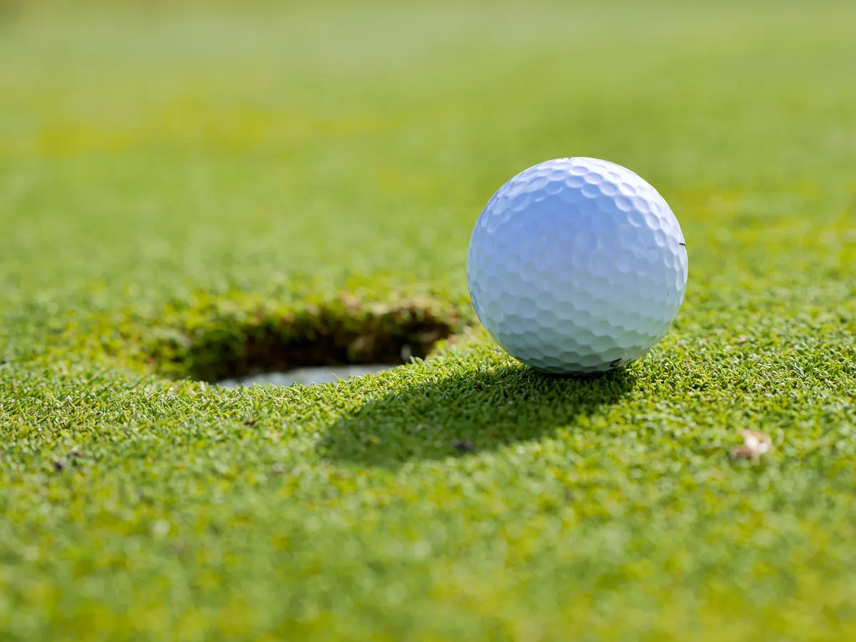 Golf ball at the cup on a backyard putting green
