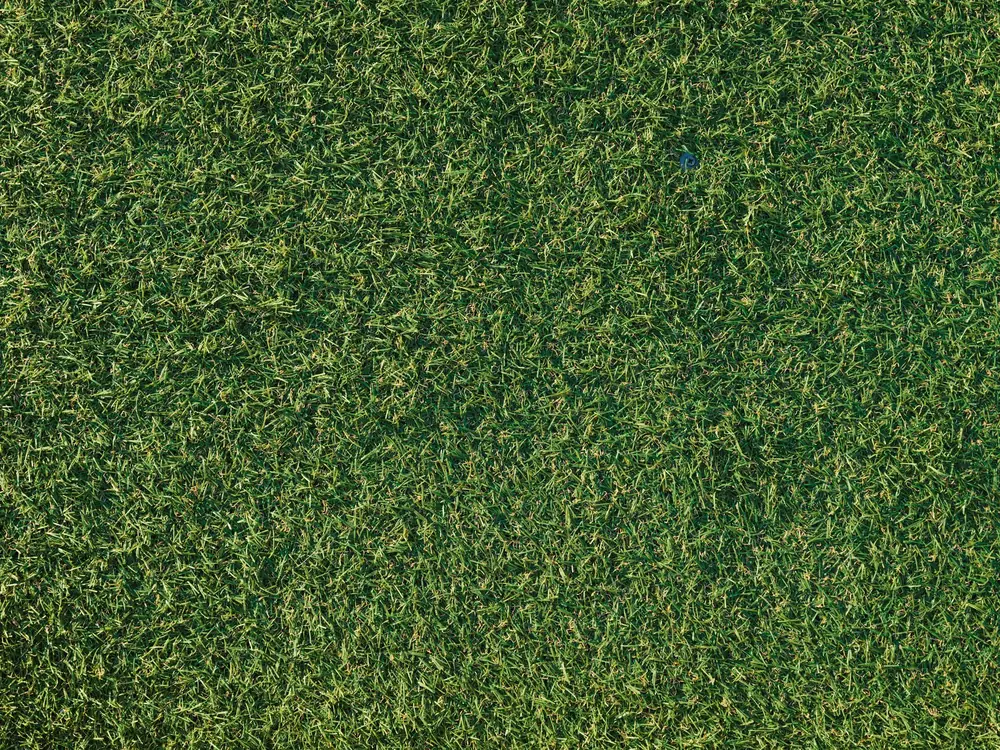 Close-up of premium synthetic turf blades